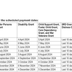 sassa december payments